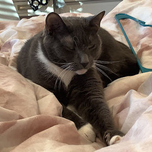 Meet your Posher, Alex